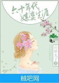 《六十年代媒婆生涯》txt全集