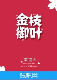 《金枝御叶》txt全集