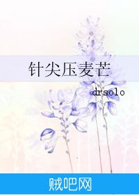 《针尖压麦芒》txt全集