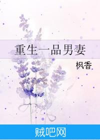 《重生一品男妻》txt全集