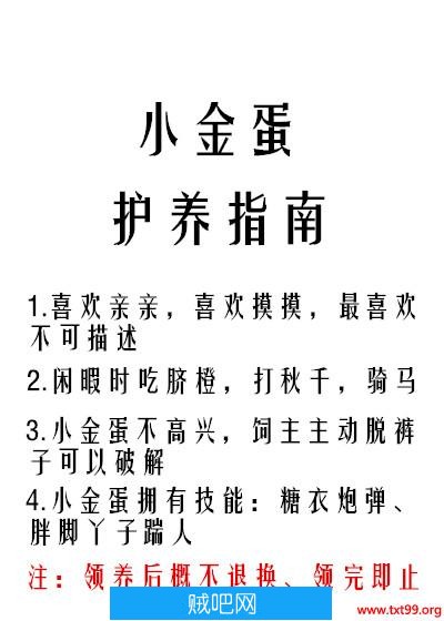 《小金蛋护养指南》txt全集