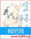 《宝珠传》txt全集