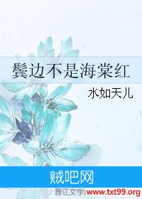 《鬓边不是海棠红》txt全集