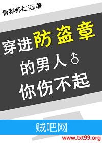 《穿进防盗章的男人你伤不起》txt全集