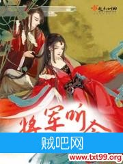 《将军听令》txt全集