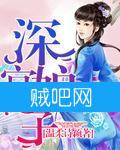 《深宫娘子》全集