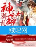 《弃妃撩人，神秘王爷别乱来》全集