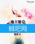 《地主婆的发家史》全集