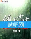 《倾雨霏霏》全集