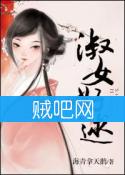 《淑女好逑》全集