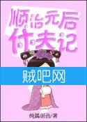 《顺治皇后休夫记》全集