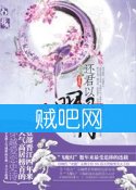 《还君以明月》全集