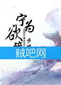 《宁为欲碎》全集