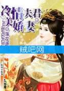 《冷情夫君美娇妻》全集