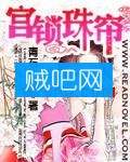 《宫锁珠帘》全集