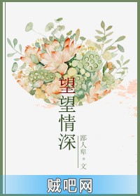 《望望情深》txt全集