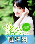 《BOSS老公滚远点》txt全集