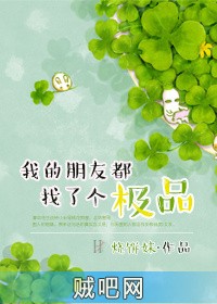 《我的朋友都找了极品》txt全集