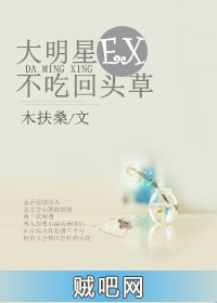 《大明星ex不吃回头草》txt全集