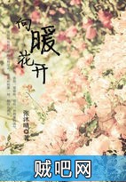 《向暖花开》txt全集