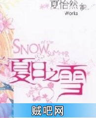 《雪 一直在夏》txt全集