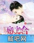 《一婚之合》txt全集