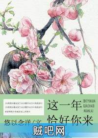 《这一年，恰好你来》txt全集