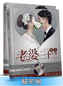 《重生之老婆三十二》txt全集