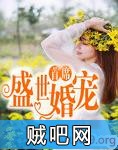 《首席盛世婚宠》txt全集