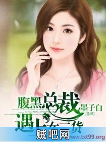 《腹黑总裁遇上女二货》txt全集