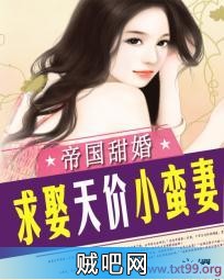 《帝国甜婚：求娶天价小蛮妻》txt全集