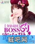 《金钻帝国：BOSS的蜜宠甜心》txt全集