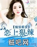 《魅情霸爱：恋上狠辣女配》txt全集