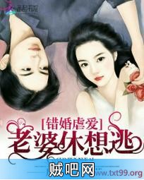 《错婚虐爱：老婆休想逃》txt全集