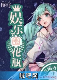 《娱乐圈花瓶》txt全集