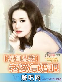 《绯闻总裁，老婆复婚吧》txt全集