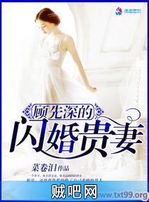 《顾先深的闪婚贵妻》txt全集