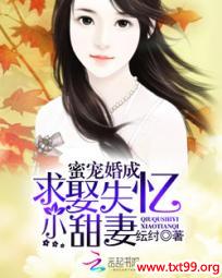 《蜜宠婚成：求娶失忆小甜妻》txt全集