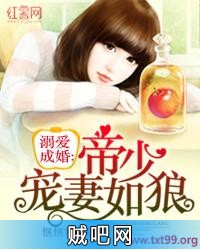 《溺爱成婚：帝少宠妻如狼》txt全集