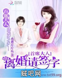 《首席大人：离婚请签字》txt全集