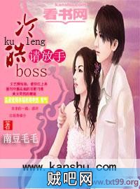 《冷情boss请放手》txt全集