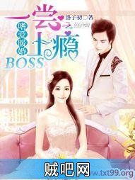 《嗜爱暖婚：BOSS一尝上瘾》txt全集