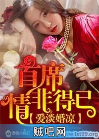 《爱淡婚凉，首席情非得已》txt全集