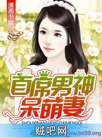 《首席男神呆萌妻》txt全集