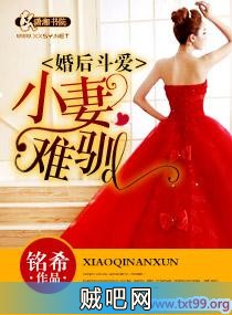 《婚后斗爱之小妻难驯》txt全集