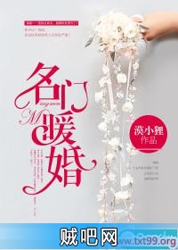 《名门暖婚》txt全集