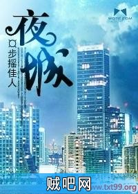 《夜城》txt全集