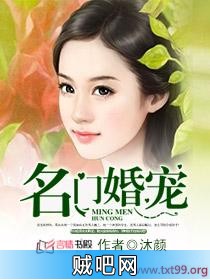 《名门婚宠》txt全集