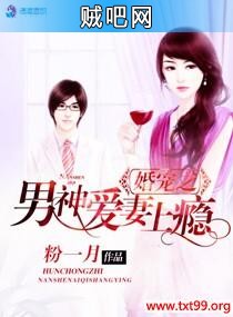 《婚宠之男神爱妻上瘾》txt全集