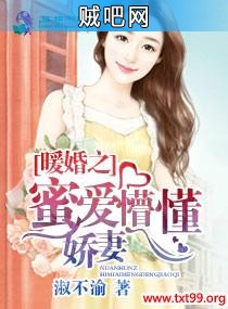 《暖婚之蜜爱懵懂娇妻》txt全集